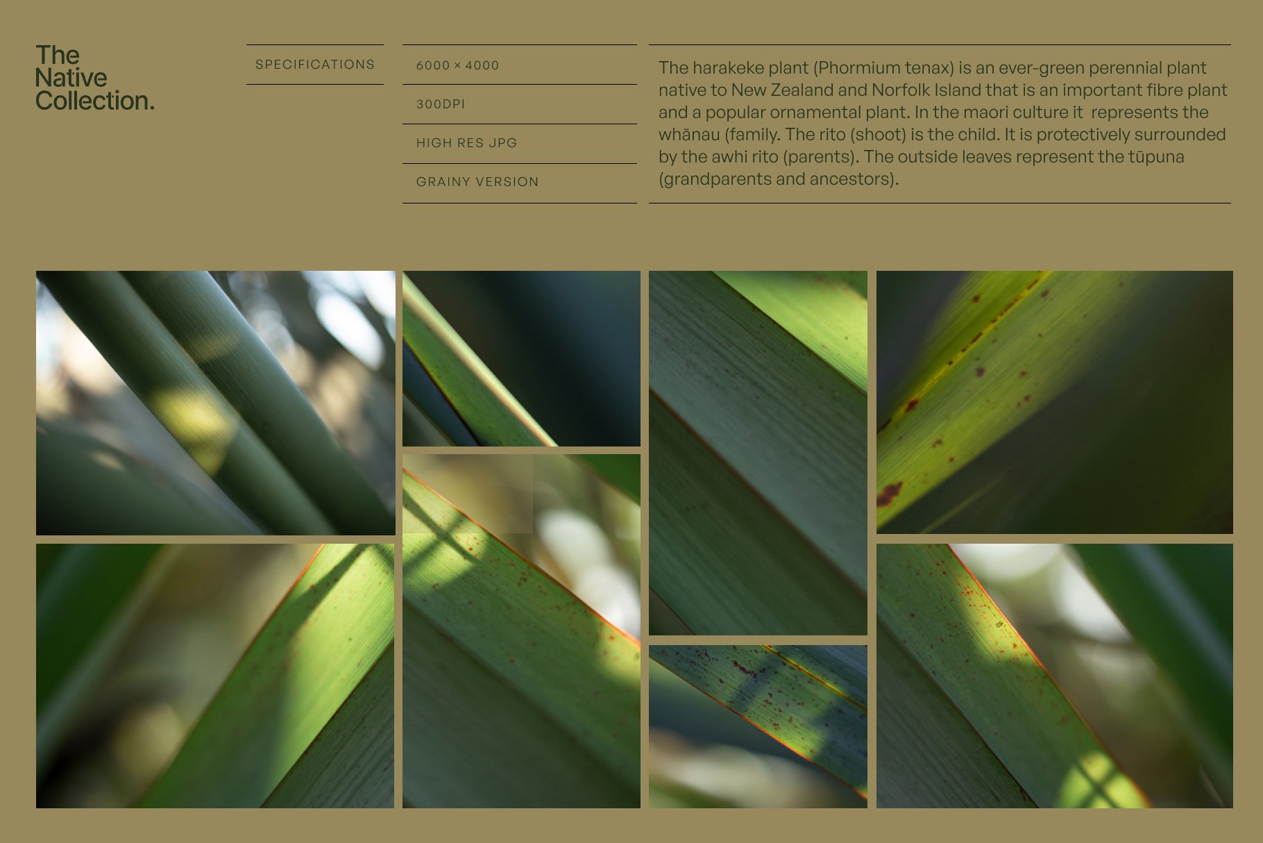 Natural textures - Green edition v04 preview image.