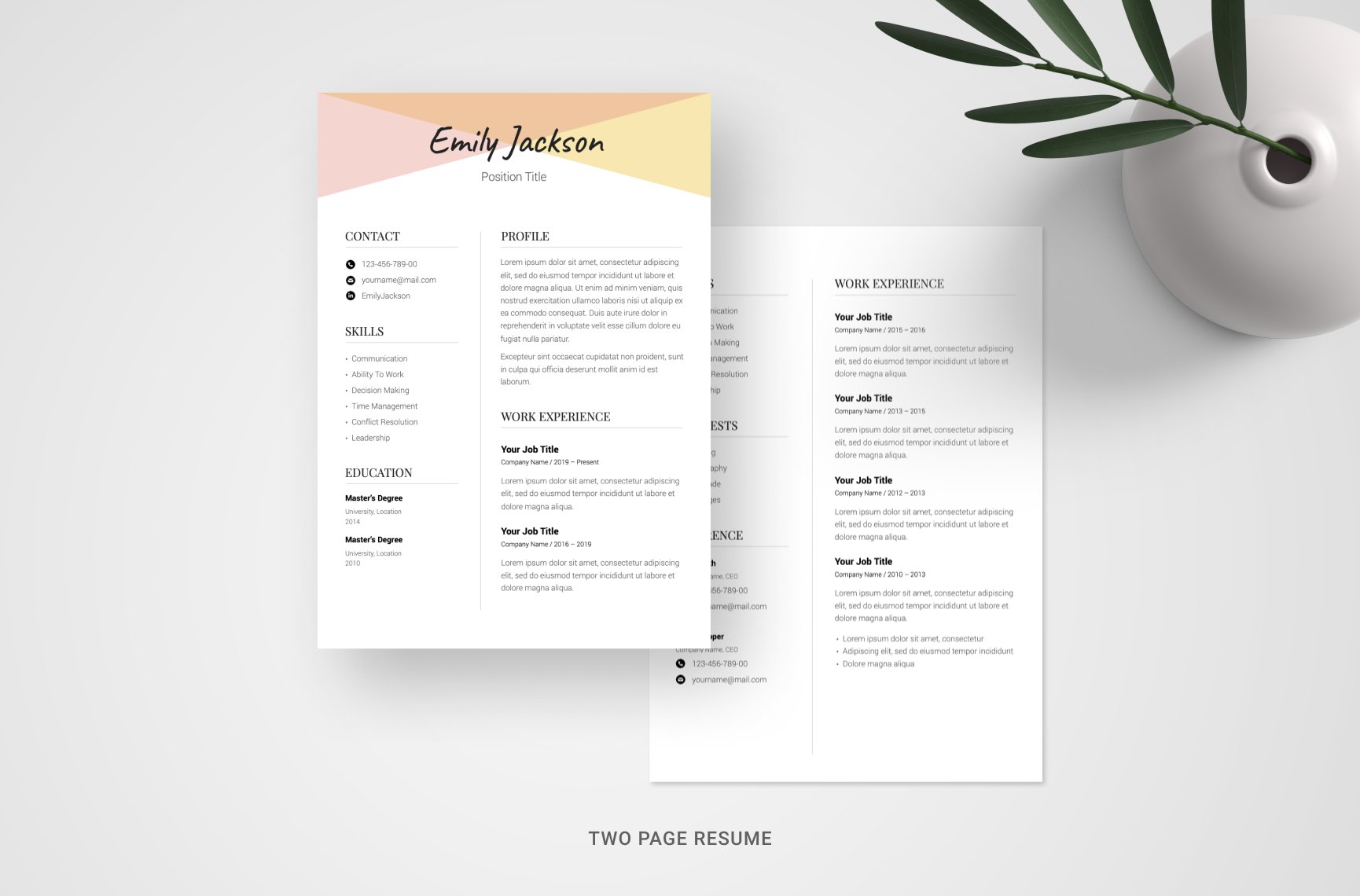 Professional Resume Template CV preview image.