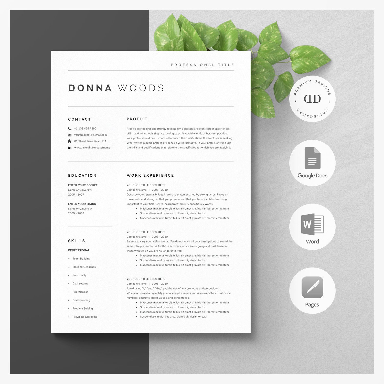 Modern Resume Template Kit cover image.