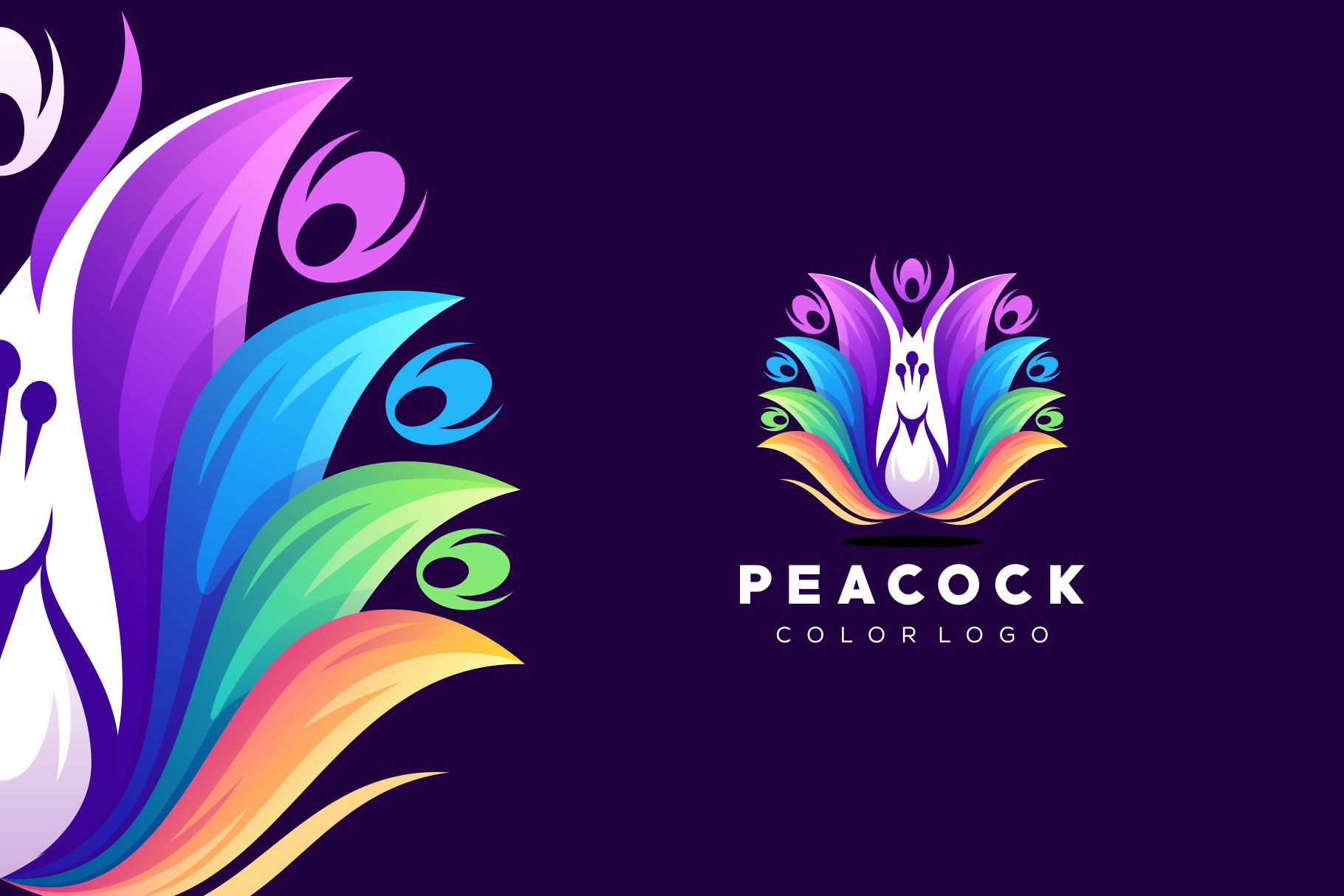 Fullcolor Peacock Logo cover image.