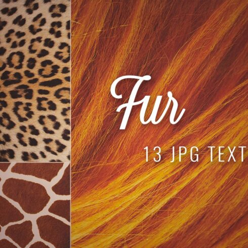 Fur Textures cover image.