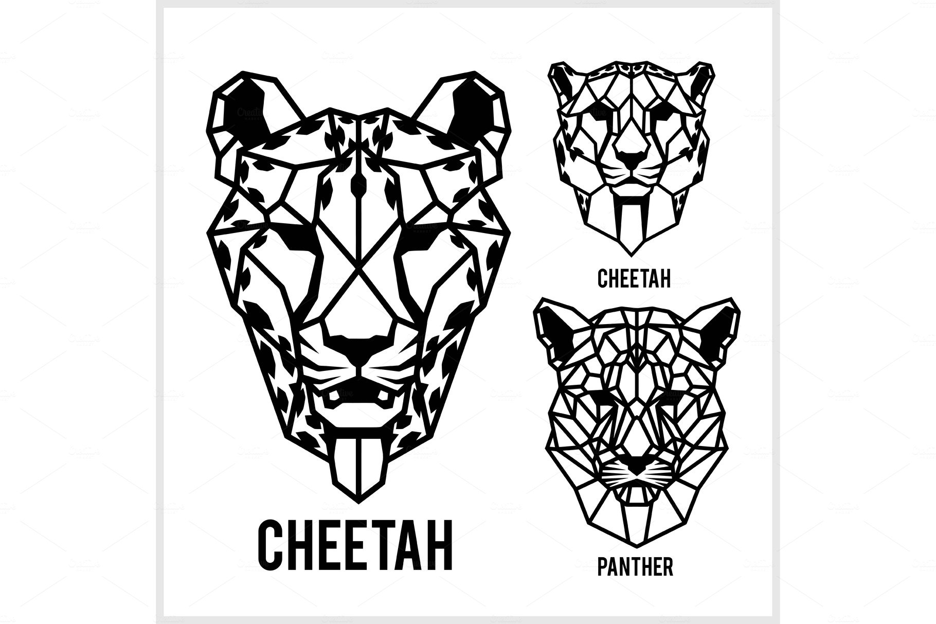 Cheetah and panter - animal heads cover image.