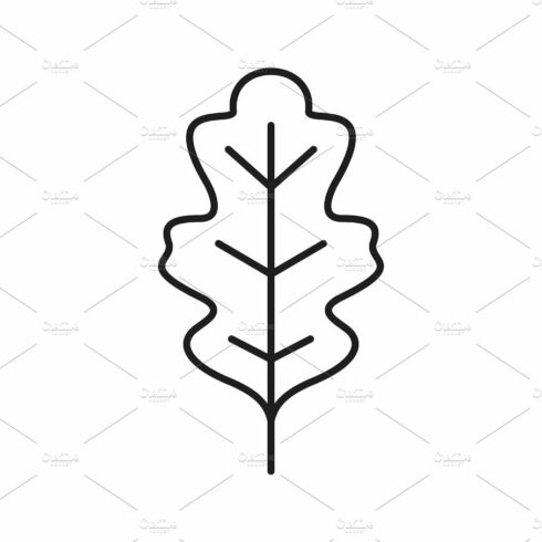 Oak leaf linear icon cover image.