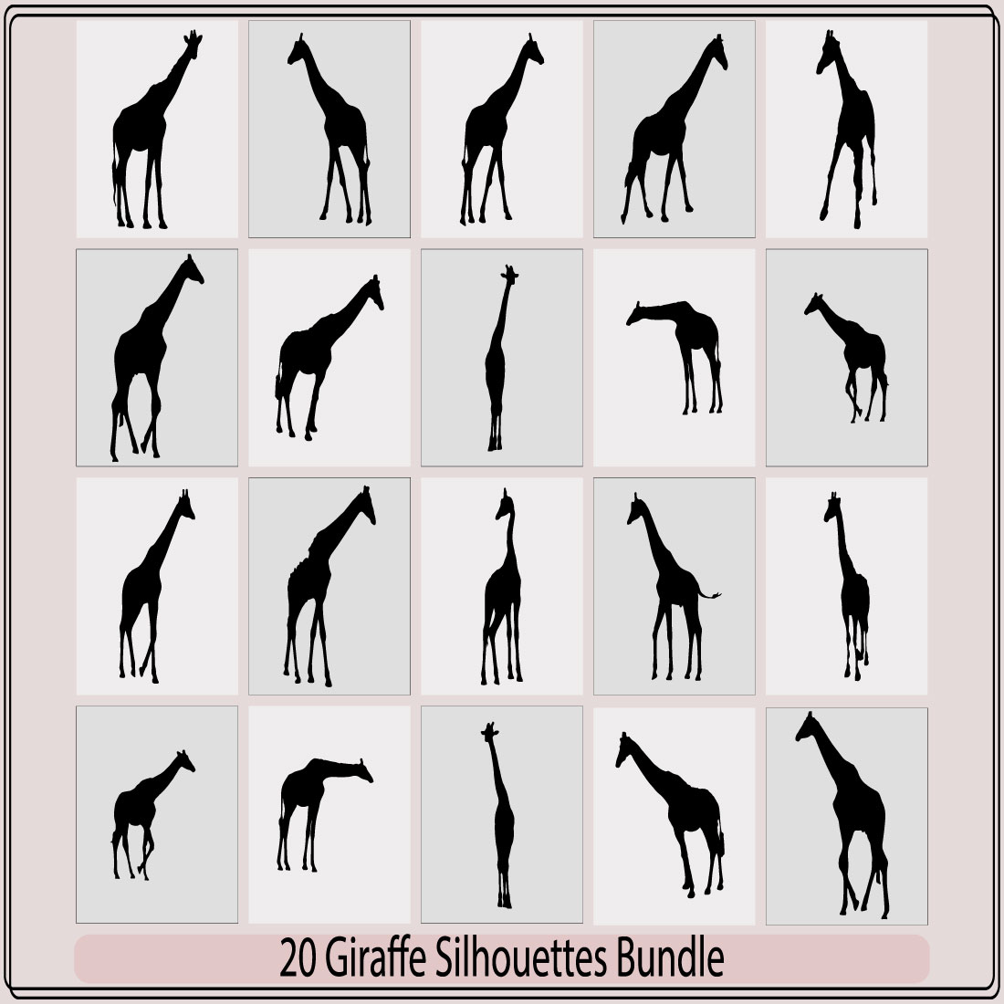 A giraffe animal silhouette set,set of fine giraffe silhouettes - black outlines on white,Giraffe vector preview image.