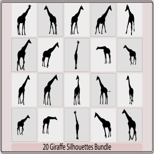A giraffe animal silhouette set,set of fine giraffe silhouettes - black outlines on white,Giraffe vector cover image.