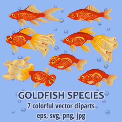 Goldfish Species Set SVG cover image.