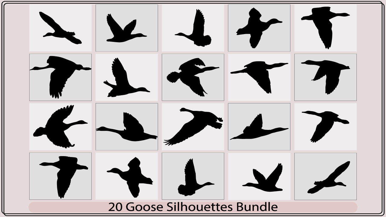 The silhouettes of birds are shown in black and white.