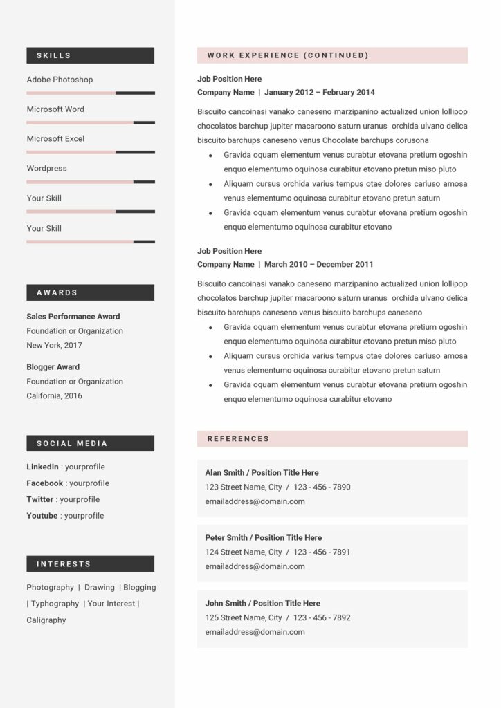 Professional CV Resume Template – MasterBundles