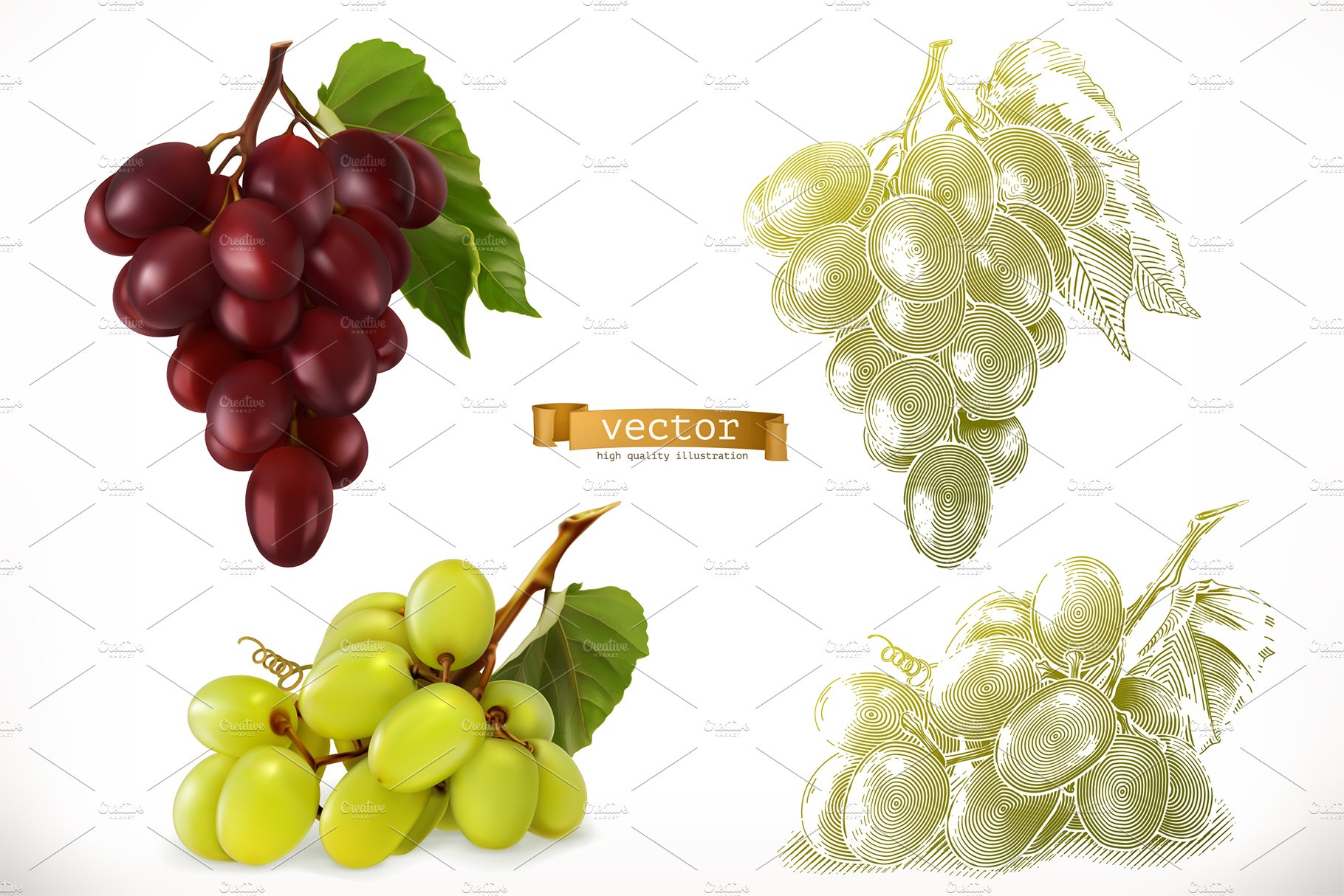 grapes 3d realism and engraving design vector illustration 678