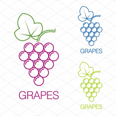 Grape sign. Logo wine production cover image.