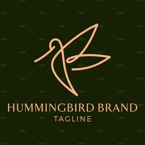 Hummingbird logo design cover image.