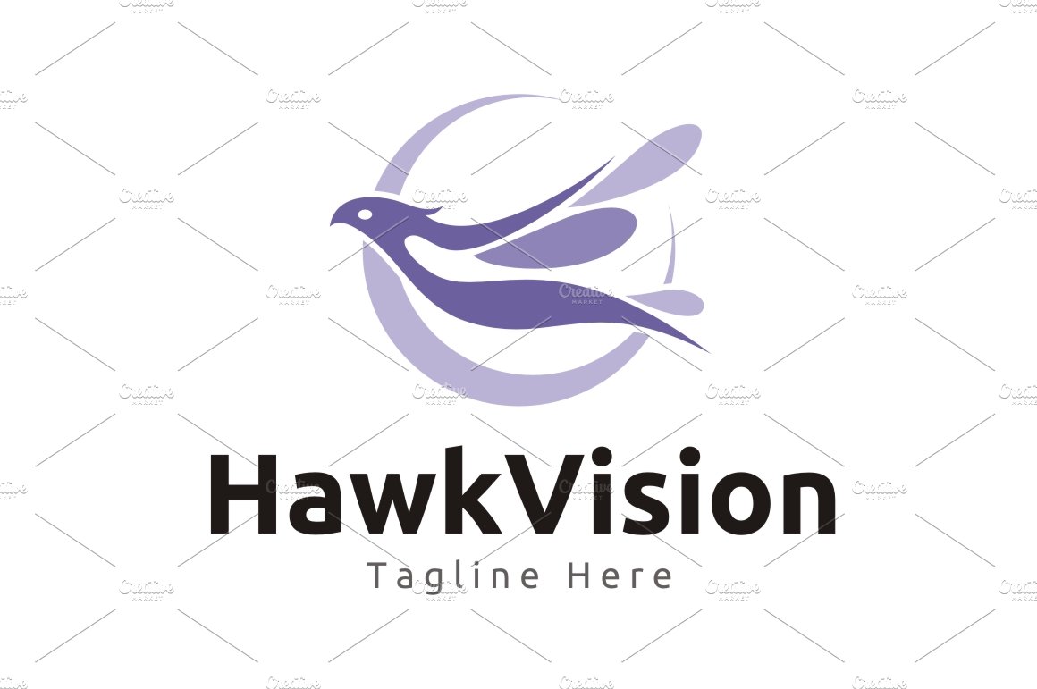 Hawk Vision Logo cover image.