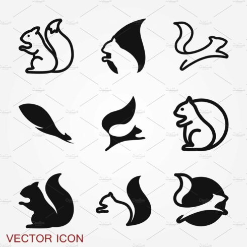Squirrel vector icon isolated on a cover image.