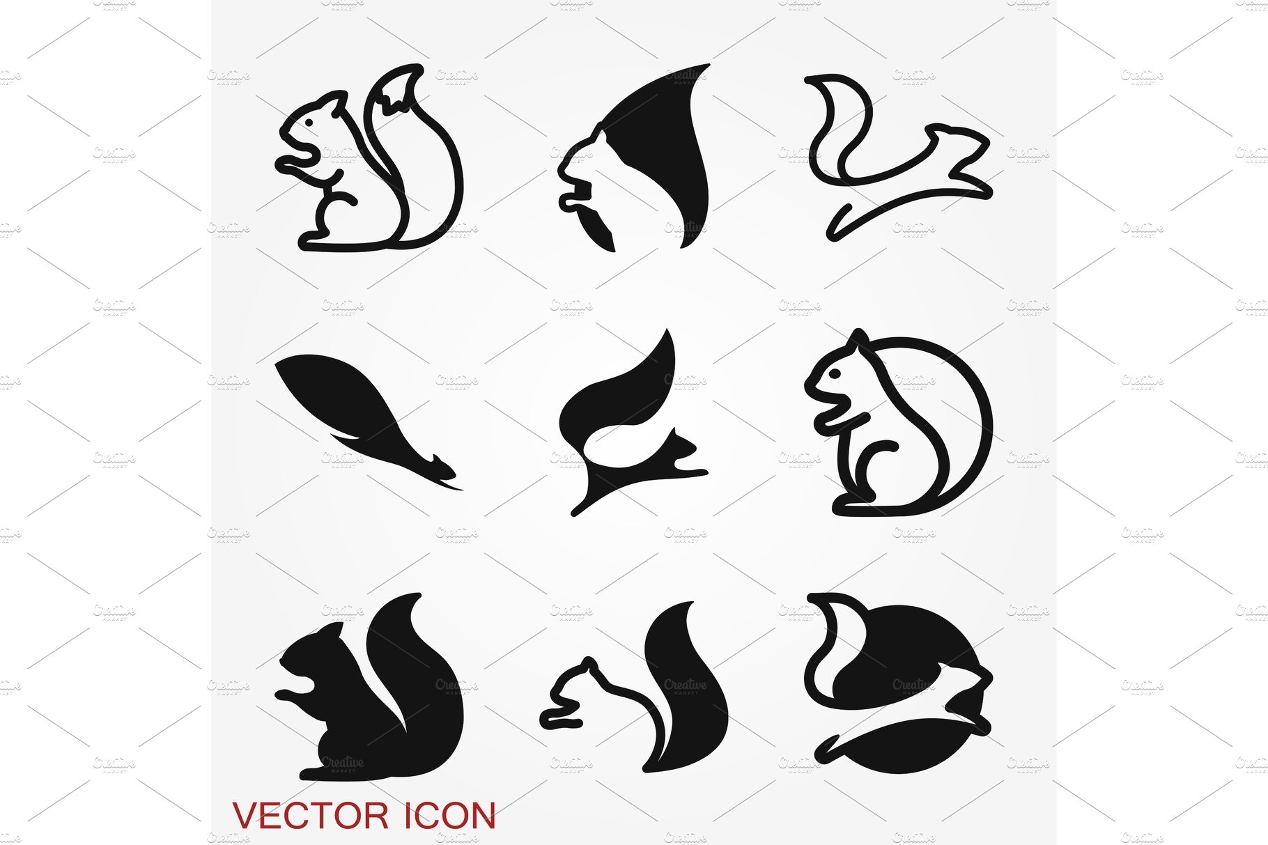 Squirrel vector icon isolated on a cover image.