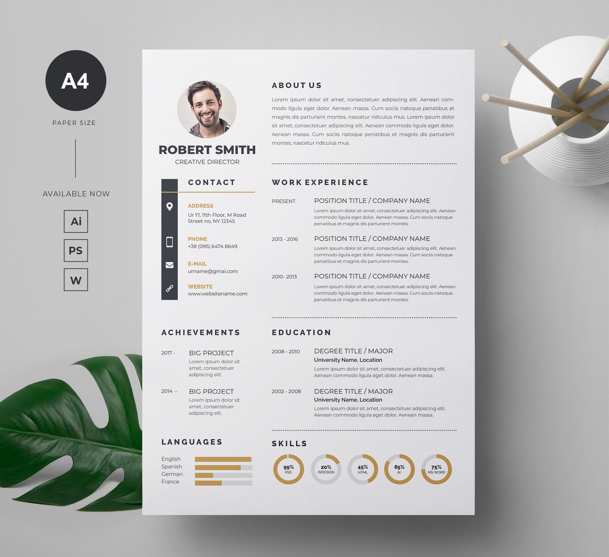 Professional Resume / CV Template cover image.