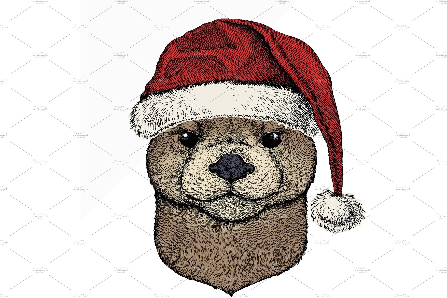 Vector portrait of otter. Christmas cover image.
