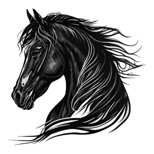 Black and white Horse logo Illustration cover image.