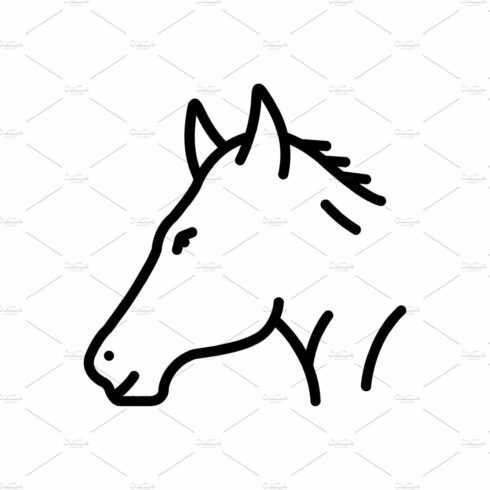 Horse steed icon cover image.