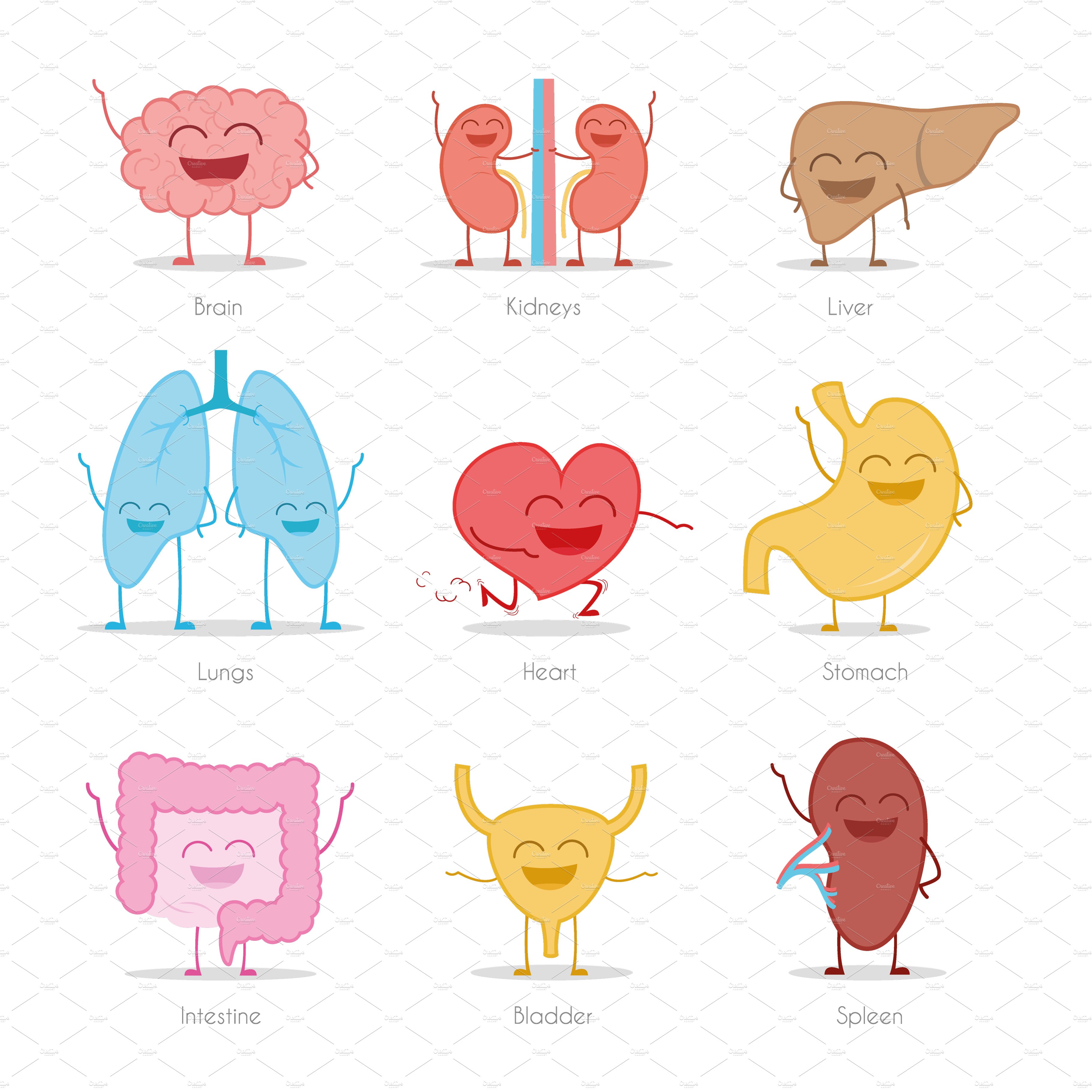 Human Organs Characters preview image.