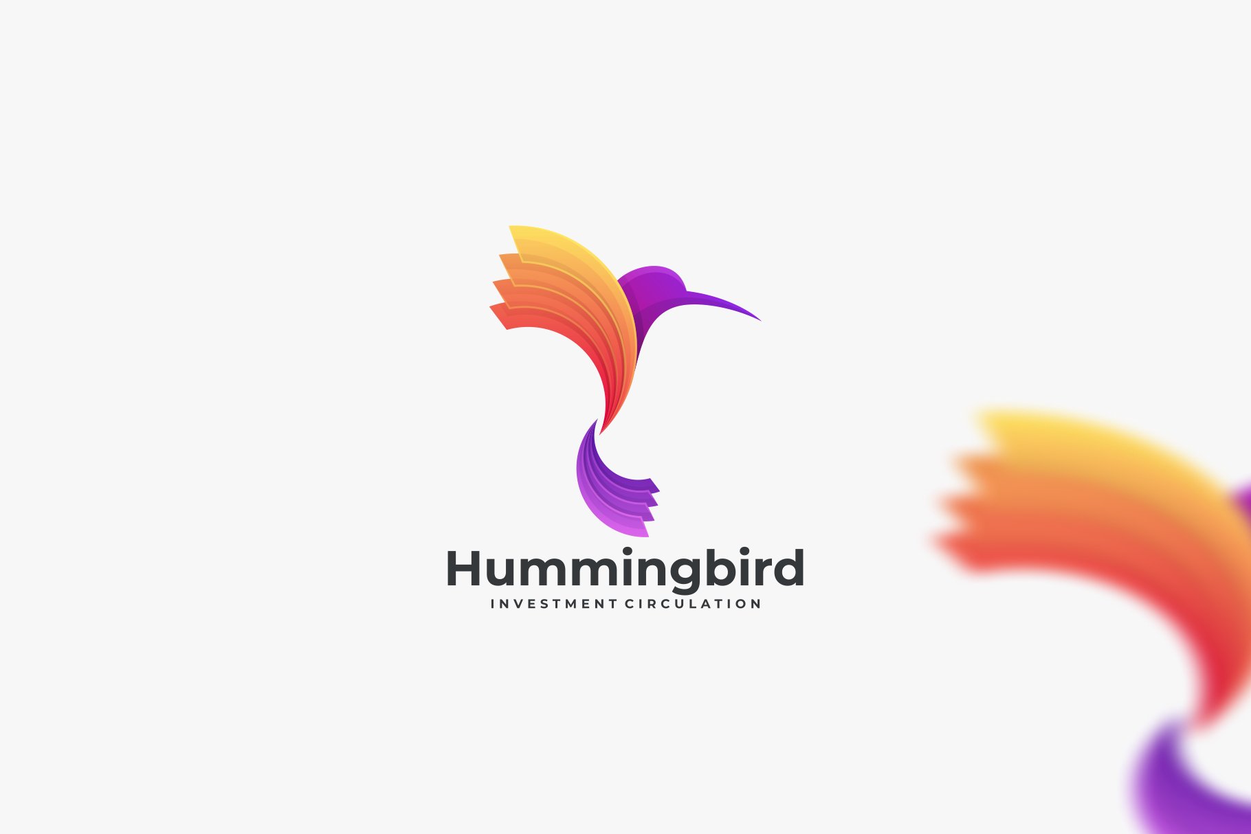 Humming Bird Gradient Color Logo cover image.