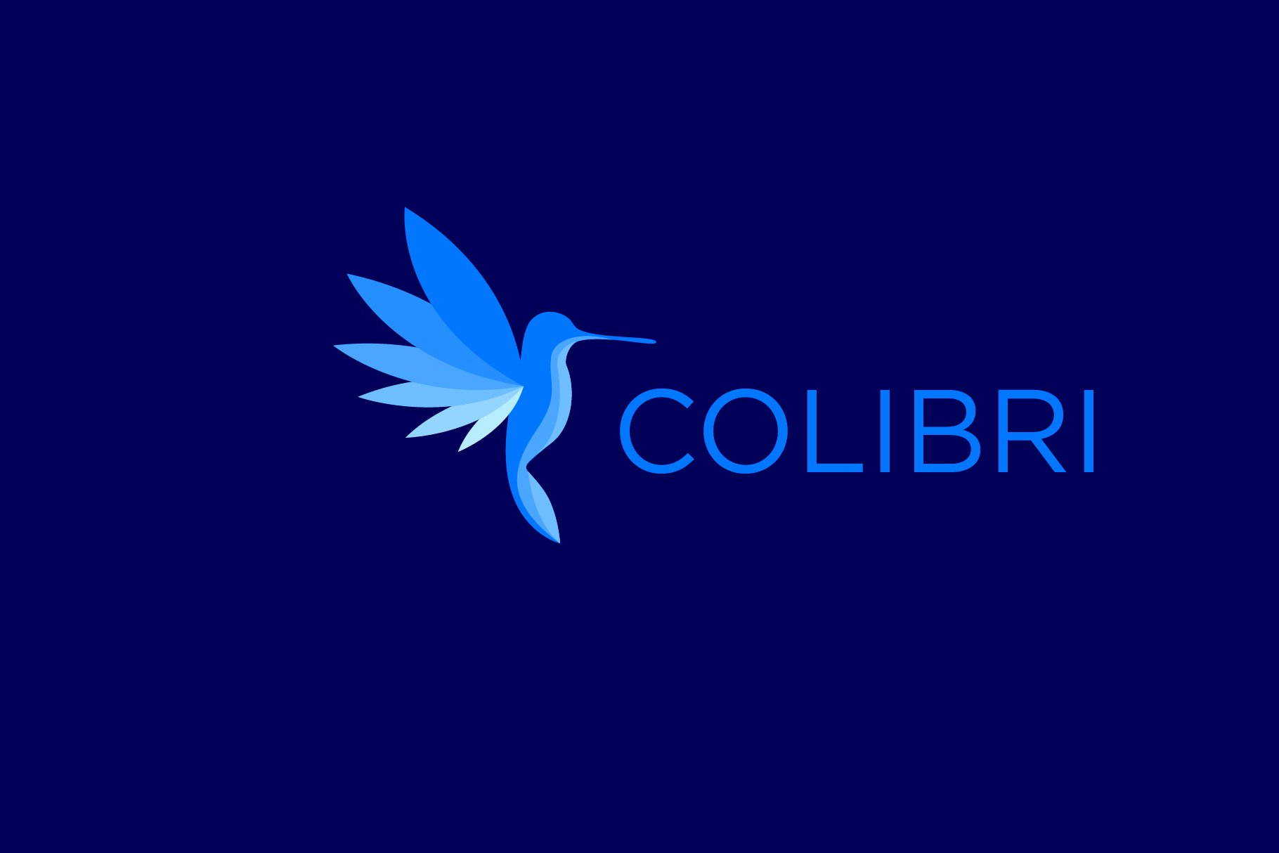 Colibry or Humming Bird Logo cover image.