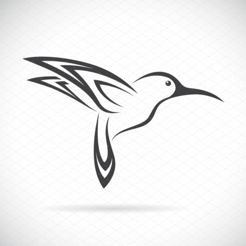 Vector of hummingbird design. Birds. cover image.