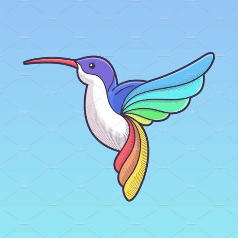 Hummingbird cover image.