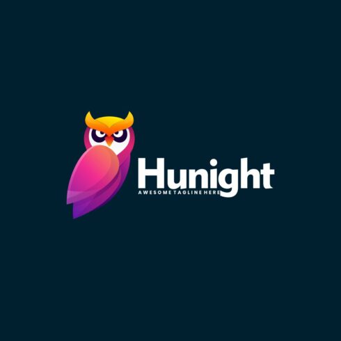 Owl Hunter Night Gradient Colorful cover image.