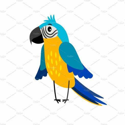Parrot cartoon bird icon cover image.