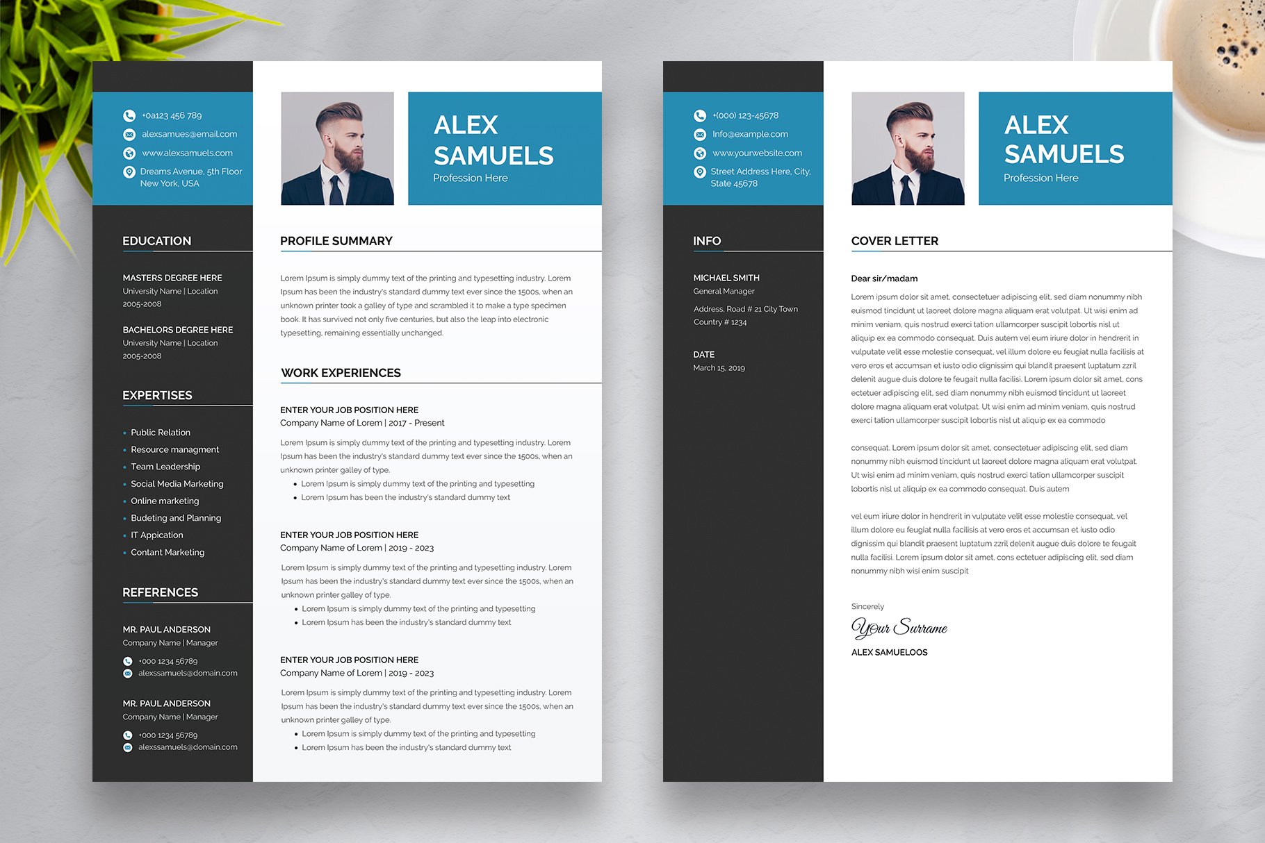 Professional Word Resume CV preview image.