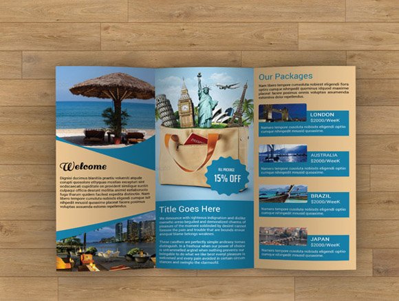 Travel Agency Brochure - V25 preview image.