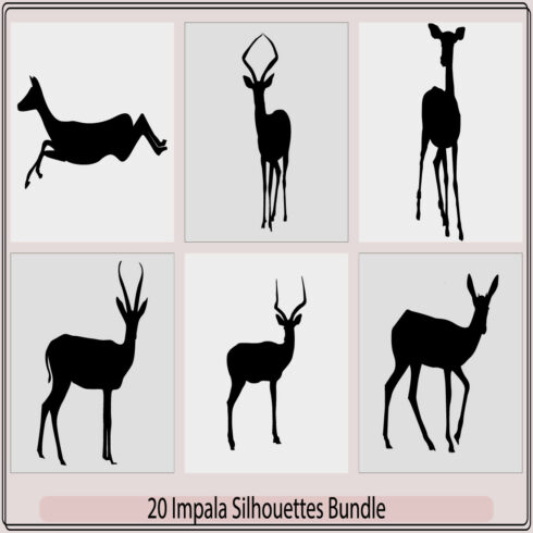 illustration of African impala silhouettes in the wild,Black and white vector silhouettes of Impala,Impala Silhouette Vector Logo For The Best Impala Icon Illustration,Set of editable vector silhouettes of running impala antelopes cover image.