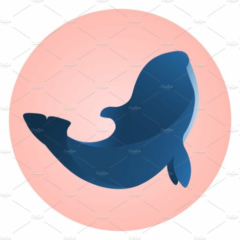 Wild blue orca on pink circle. Sign cover image.