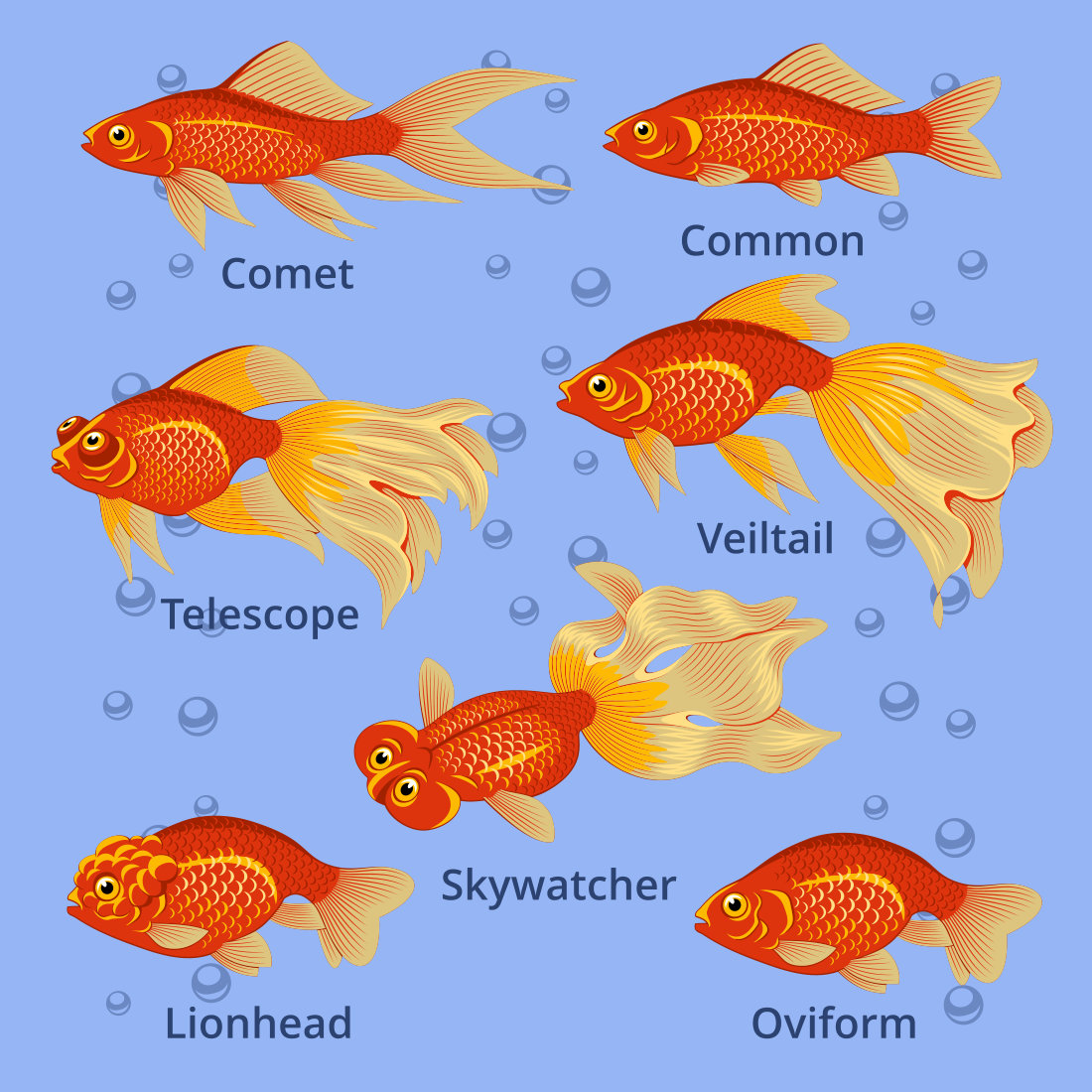 Goldfish Species Set SVG preview image.