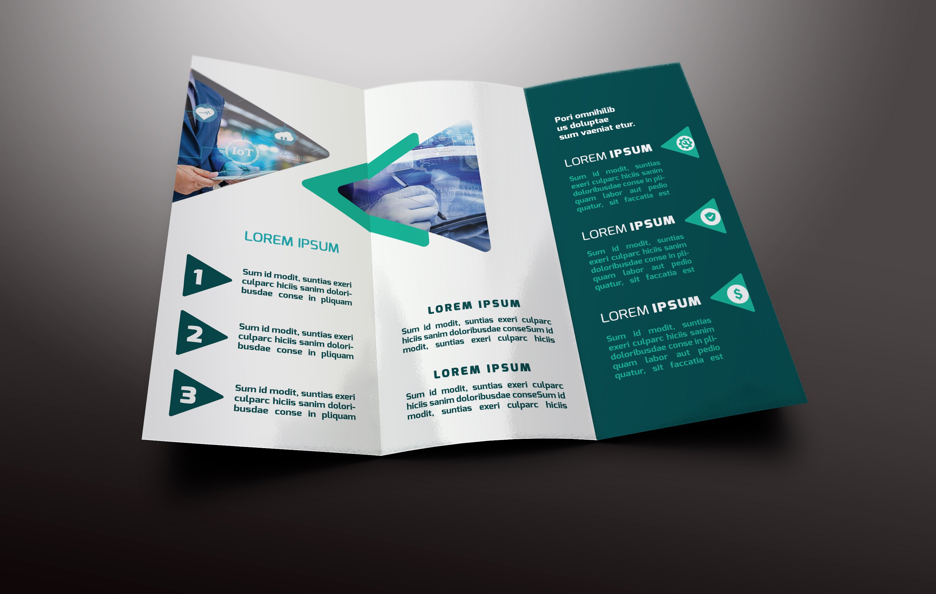 IT Services Tri-fold Brochures preview image.