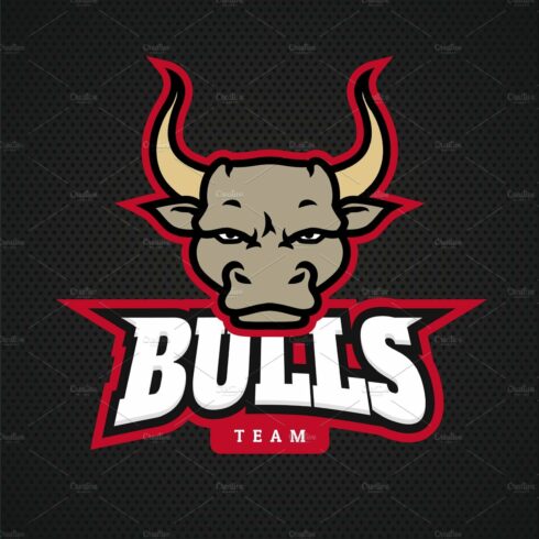 Head angry bull logo icon designs cover image.