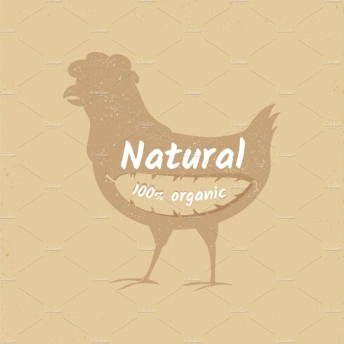 Organic chicken vintage vector logo cover image.
