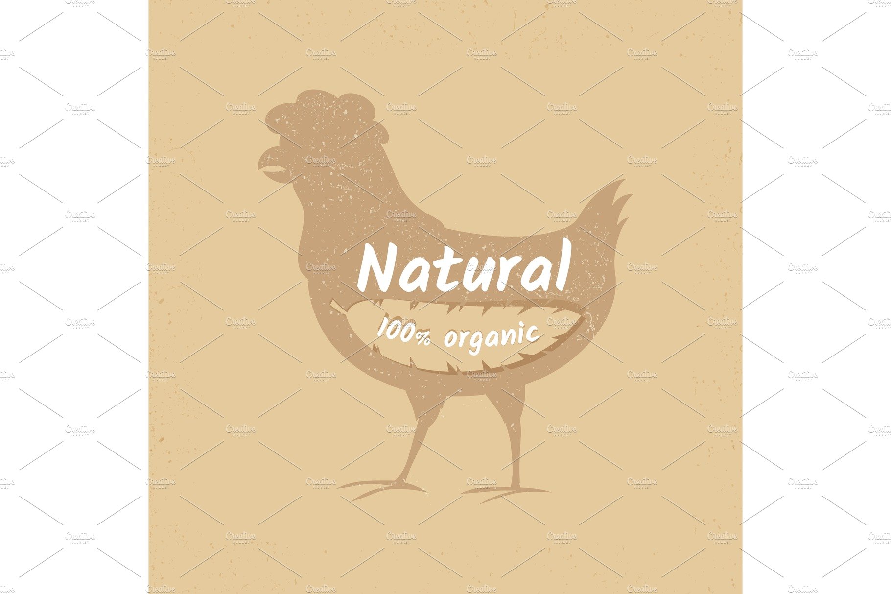 Organic chicken vintage vector logo cover image.