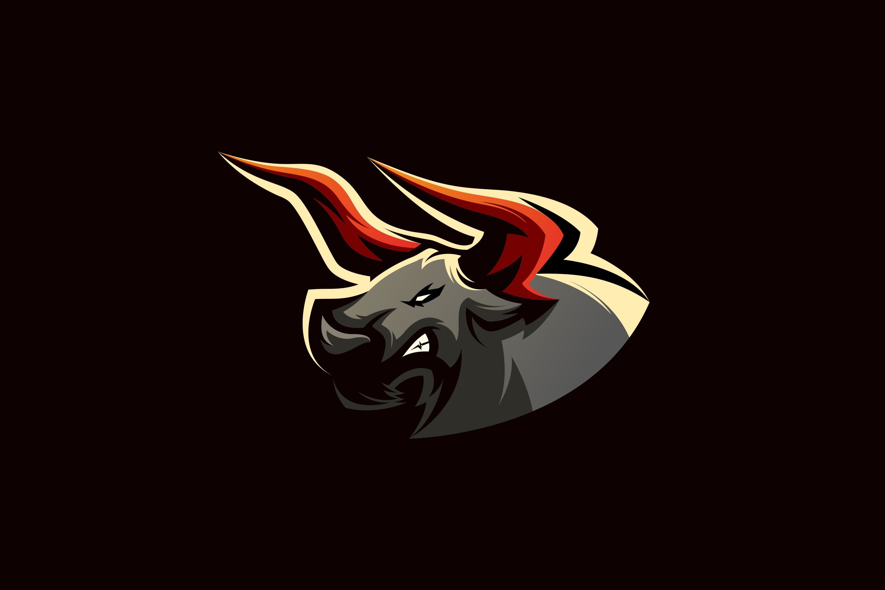 bull logo cover image.
