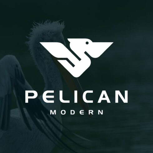 Pelican Bird Geometric Modern Logo cover image.