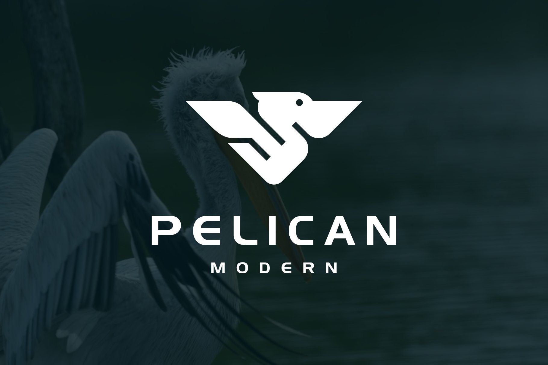 Pelican Bird Geometric Modern Logo cover image.