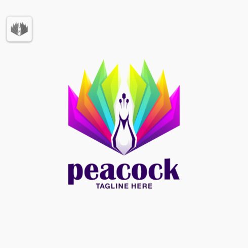 peacock logo cover image.