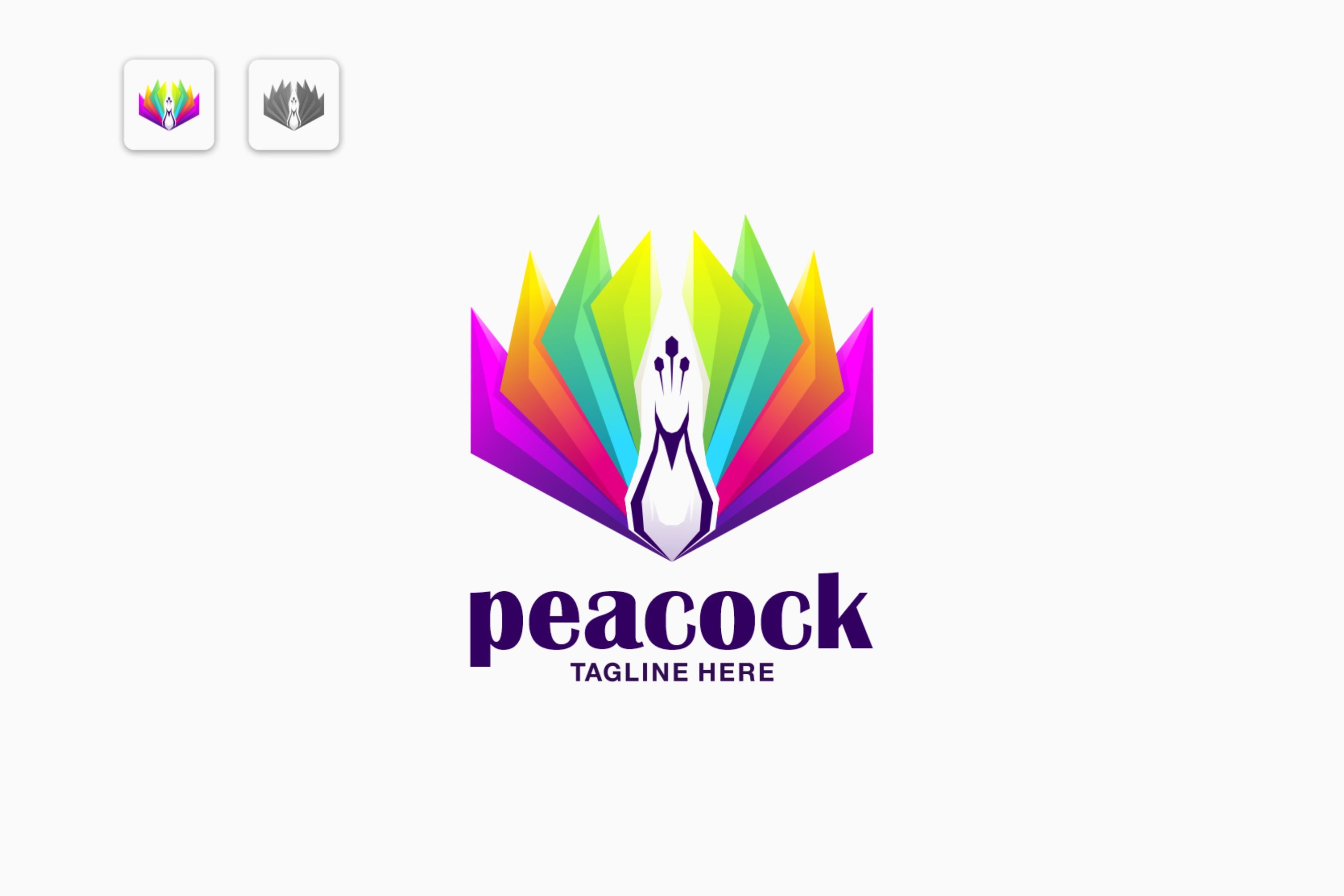 peacock logo cover image.