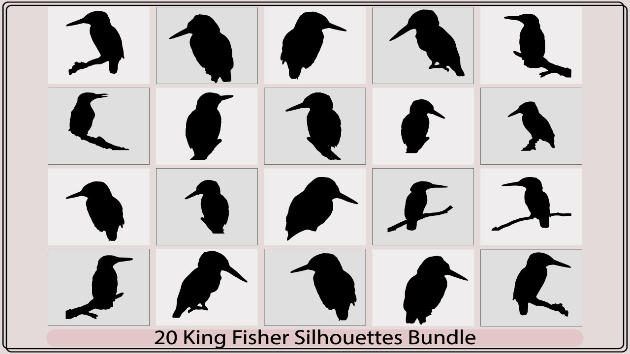 20 king fisher silhouettes bundle.