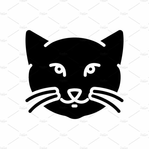 Kitty cat icon cover image.