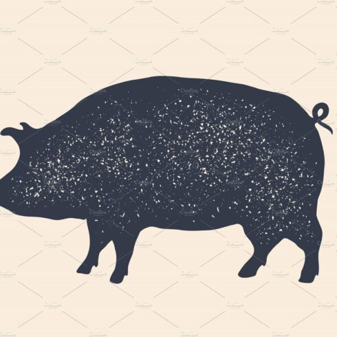 Pig, pork. Vintage logo, retro print cover image.