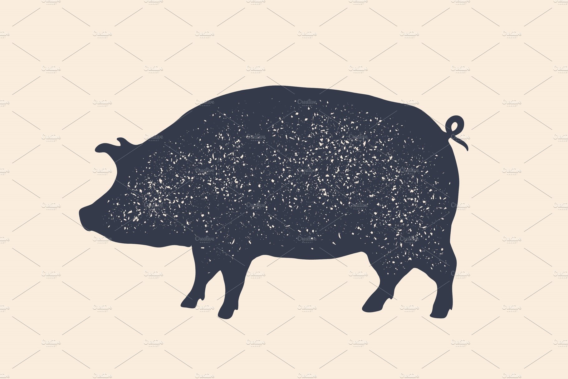 Pig, pork. Vintage logo, retro print cover image.