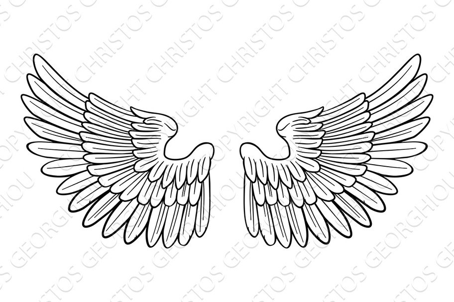 Wings Angel or Eagle Pair cover image.