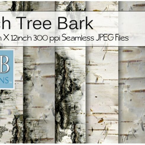 10 Birch Tree Bark Textures cover image.