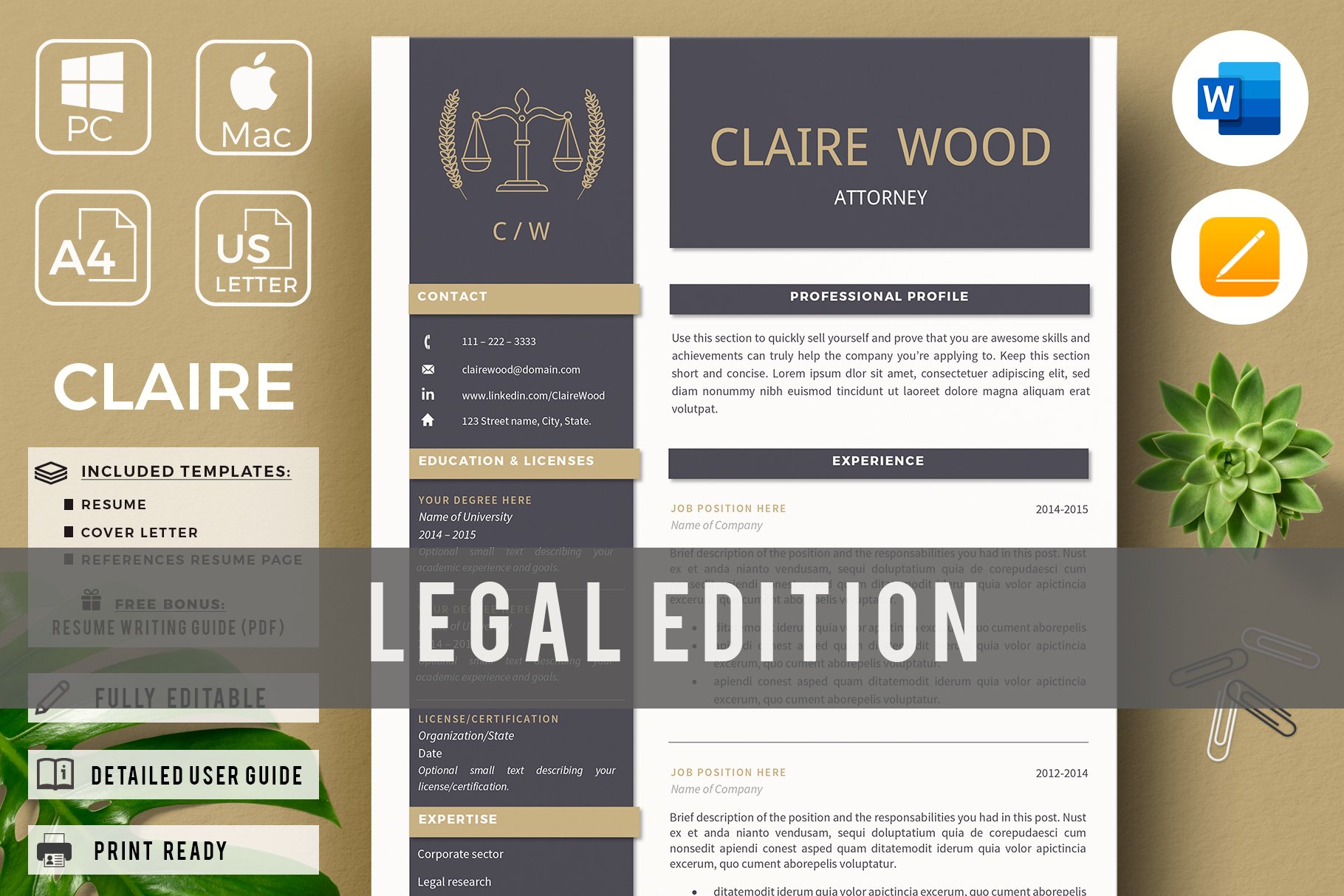 Lawyer Resume + Letter & References cover image.